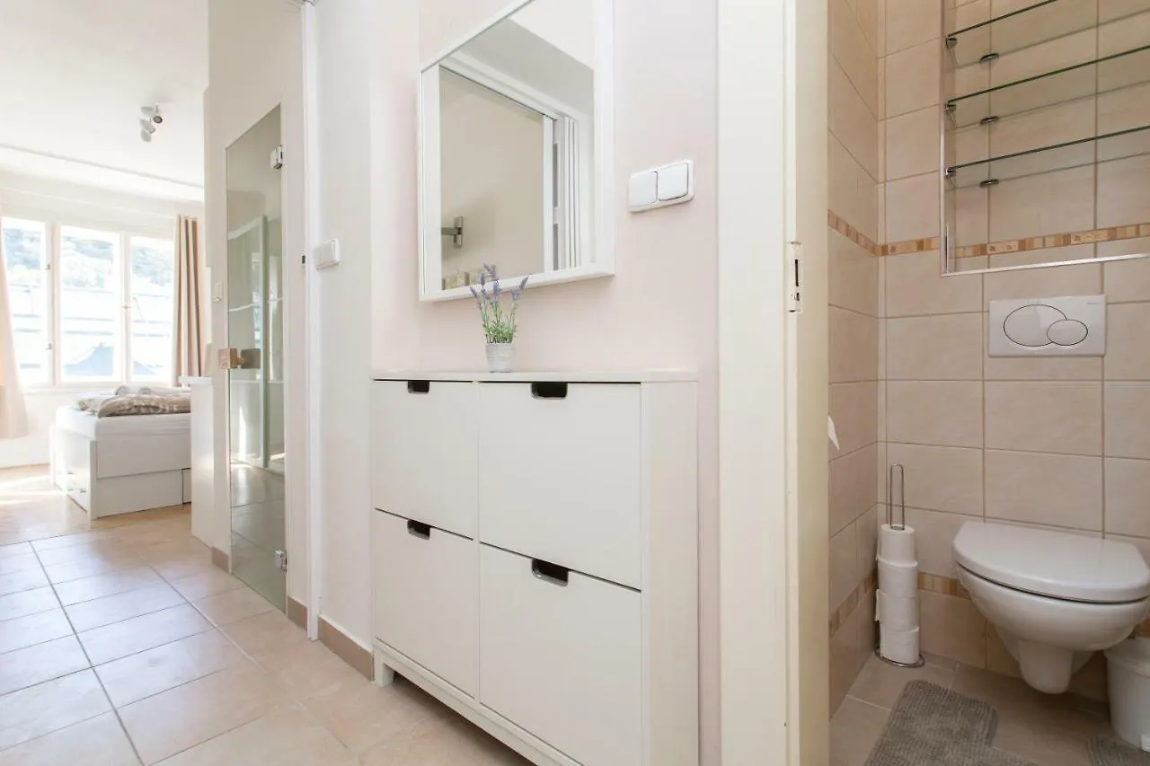 Cozy Studio With Parking Near City Center Prague Apartment