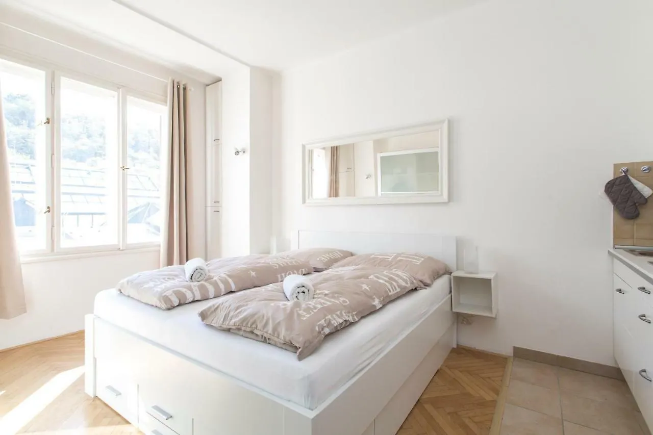 Cozy Studio With Parking Near City Center Prague 0*,  Czech Republic